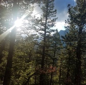 Meet your Posher, Kristi